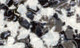 ash-grey