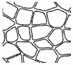 flagstone