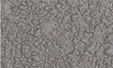 french grey